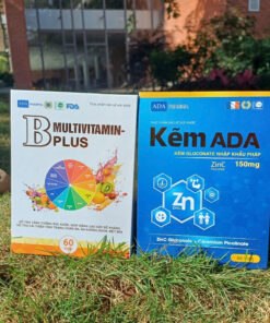 Combo KẼM ADA – MULTIVITAMIN B plus