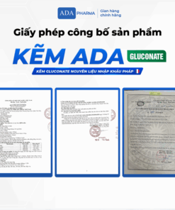 Kẽm ADA – Kẽm Gluconate nguyên liệu nhập khẩu Pháp – Hỗ trợ tăng cường sức khoẻ