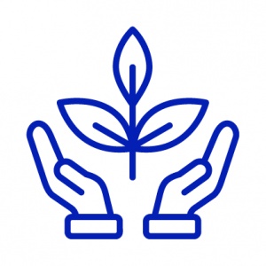 aaa